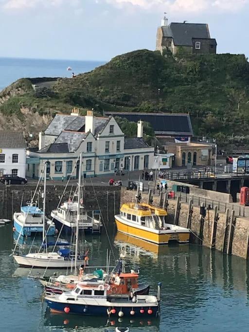Hollycombe Villa Ilfracombe Kültér fotó